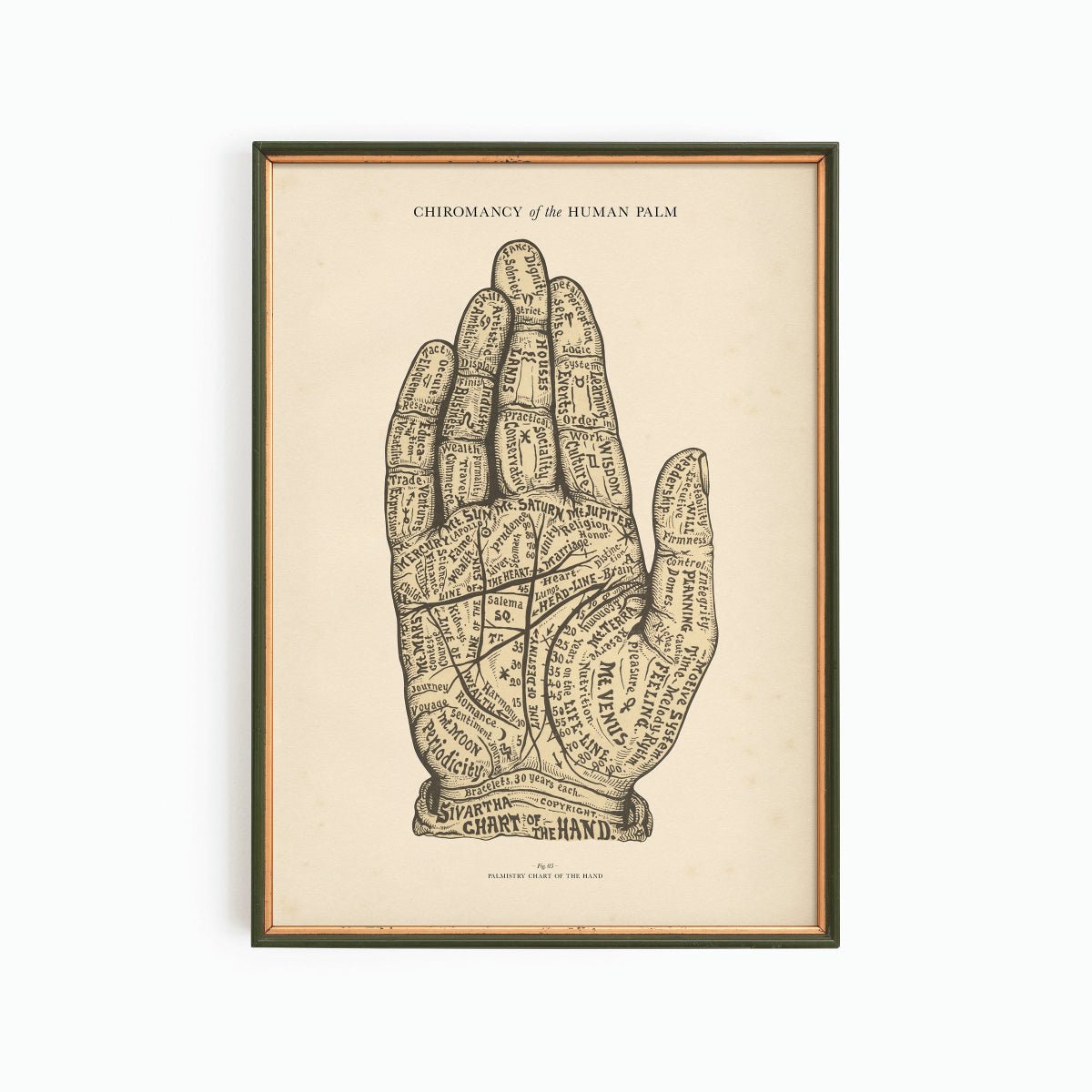 Vintage Palmistry Chart Poster Print - Muse + Moonstone