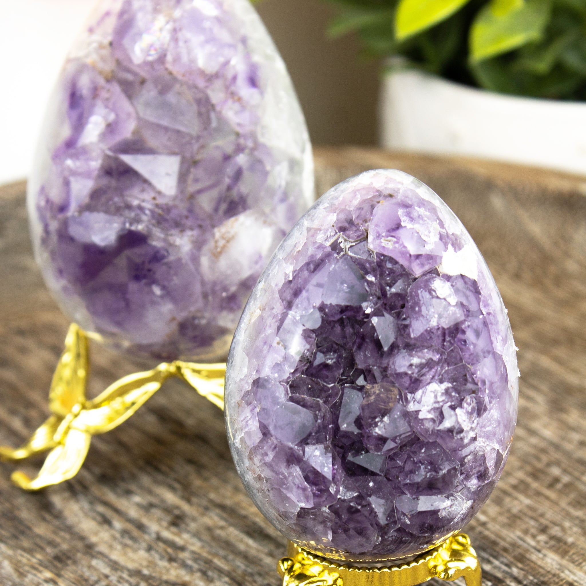 Amethyst egg top giode